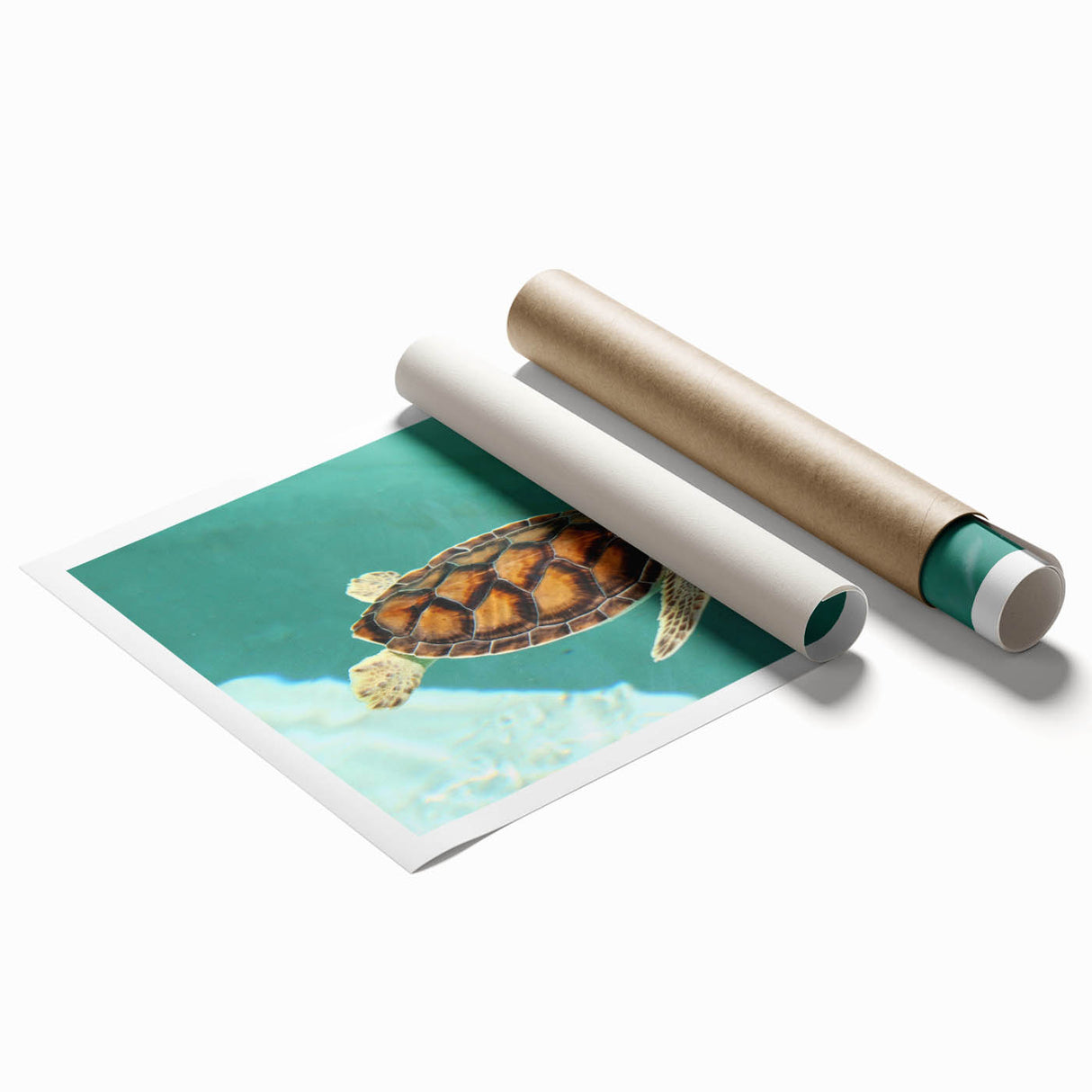 Extra large rolled print of Quintana Roo scenery with vibrant floral elements.