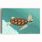 Black and white stretched canvas featuring a scenic view of Quintana Roo, Mexico, ideal for kitchen wall art.