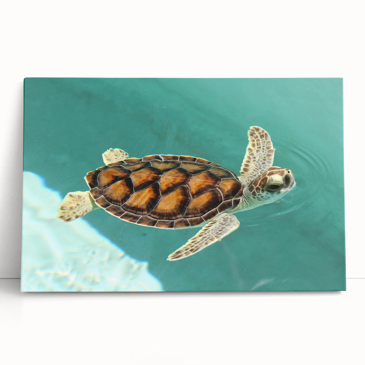 Black and white stretched canvas of Quintana Roo, Mexico scenery, ideal for kitchen wall art or bedroom ambiance.