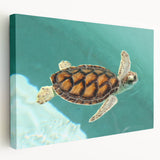 Panoramic view of Quintana Roo beach on a stretched canvas, featuring serene blue and turquoise tones.