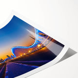 Extra large rolled print depicting line art flowers in muted tones, ideal for large living room wall art.