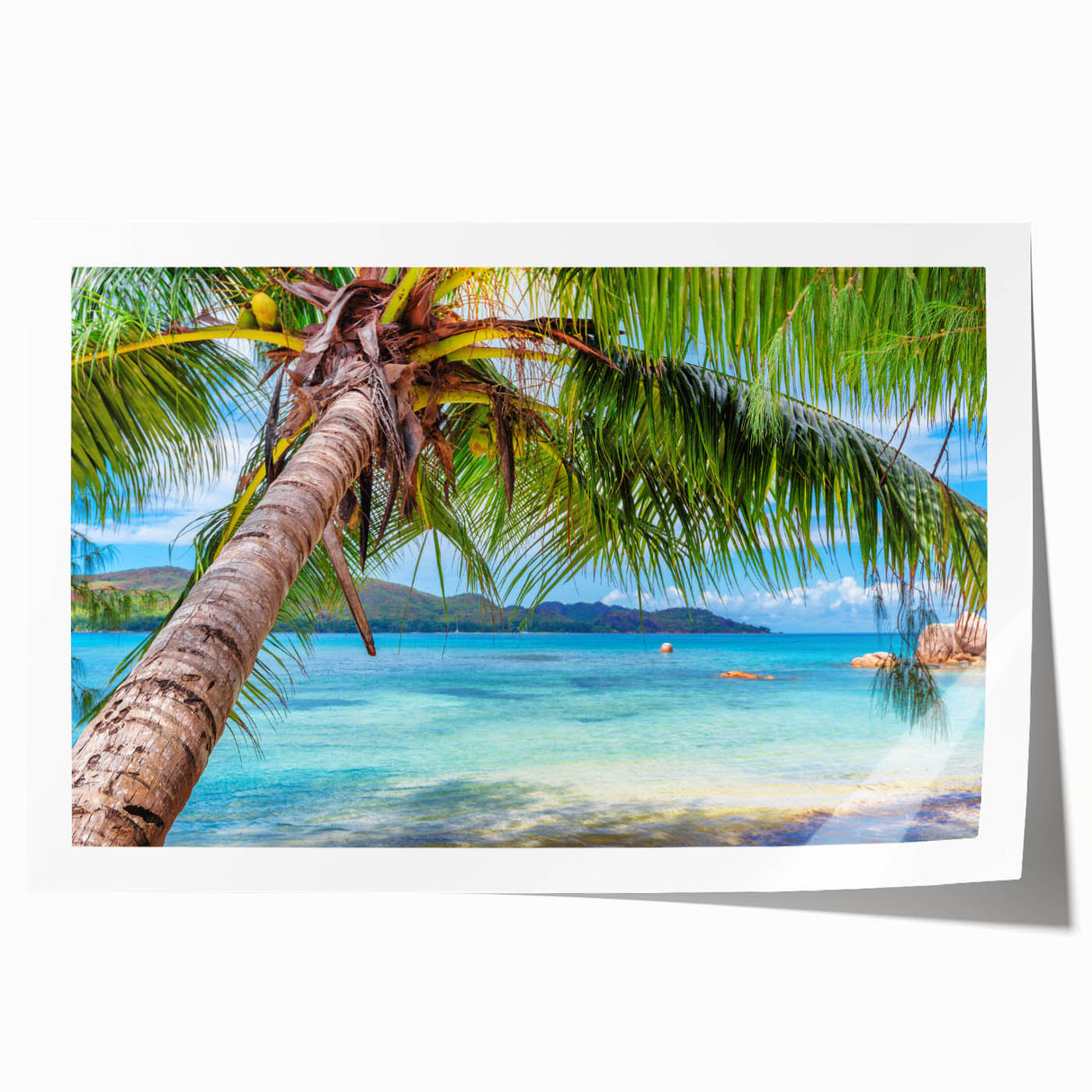 Extra large rolled print of a floral scene in vibrant colors on Fiji.