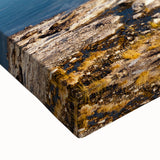 Black and white landscape art painting of a Chilean scenery on stretched canvas, suitable for bedroom wall art.