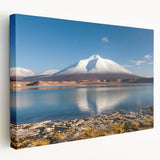 Large canvas print of a South American Chilean landscape in earth tones, ideal for kitchen wall art.
