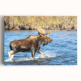 Black and white photograph of Denali, Alaska on large stretched canvas, ideal for kitchen wall art.