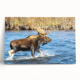 Black and white photo of Denali mountain on stretched canvas, ideal for kitchen wall art or bedroom ambiance.