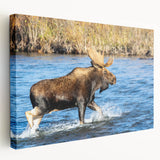 Denali National Park landscape on large stretched canvas, featuring cool blues and grays, perfect for kitchen wall art.