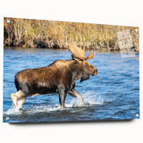 Acrylic print of Denali, Alaska in muted earth tones, ideal for enhancing bedroom or dining room decor.