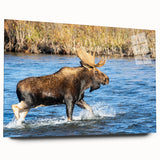 Acrylic print of Denali, Alaska in muted earth tones, ideal for bedroom or dining room art.