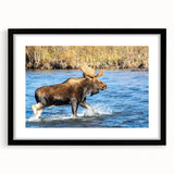 Extra large, textured abstract art print of colorful Denali scenery, framed in black, ideal for living room decor.