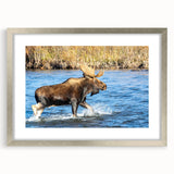 Textured art print of Denali, Alaska in muted gray and blue tones, framed in silver, ideal for bedroom art.