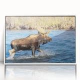 Acrylic print of Denali, Alaska in muted earth tones, framed in white, suitable for modern art wall decor.