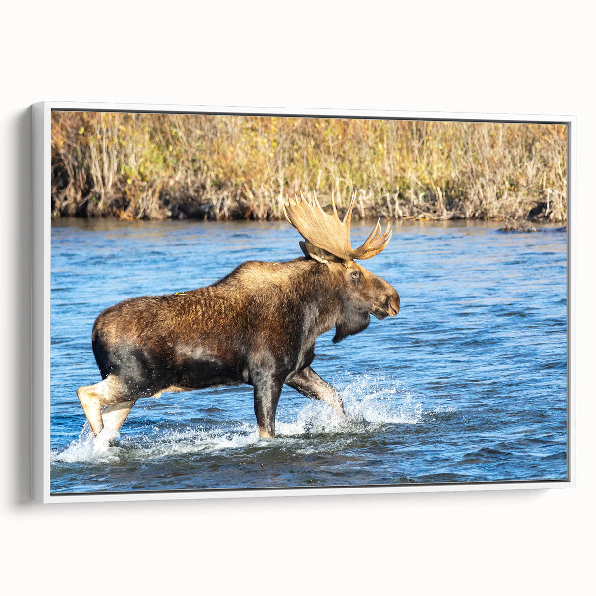 Vintage poster art of Denali, Alaska on a framed canvas, featuring muted earth tones, ideal for living room decor.
