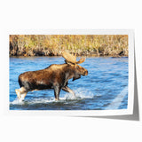 Rolled print of Denali, Alaska scenery in muted earth tones, ideal for art wall dining room.