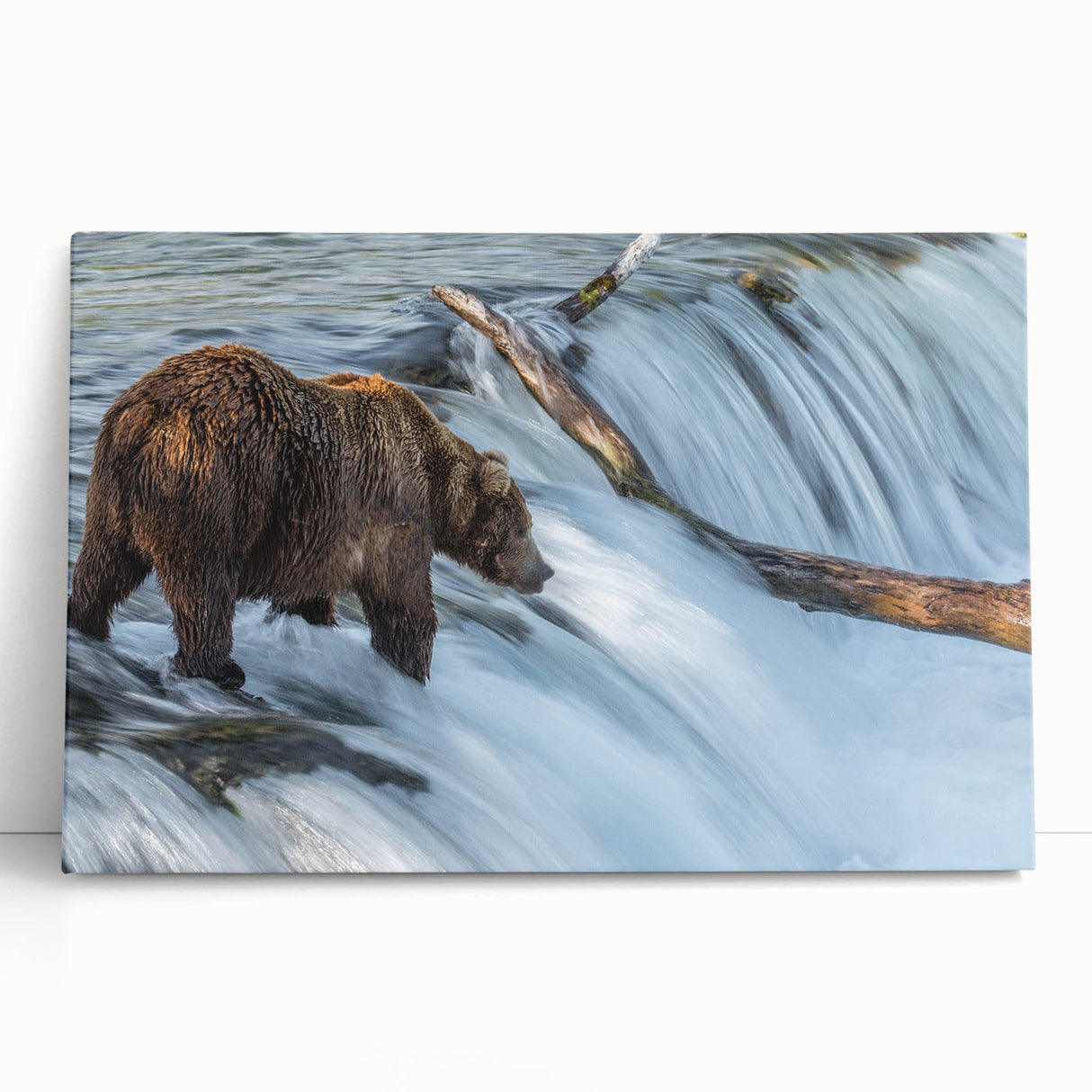 Black and white stretched canvas of Alaskan scenery, ideal for kitchen wall art or bedroom ambiance.