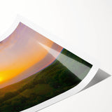 Extra large wall art featuring line art flowers in muted earth tones on a rolled canvas, ideal for large living room decor.