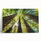 Black and white stretched canvas of Big Sur coastline, ideal for kitchen wall art or bedroom ambiance.