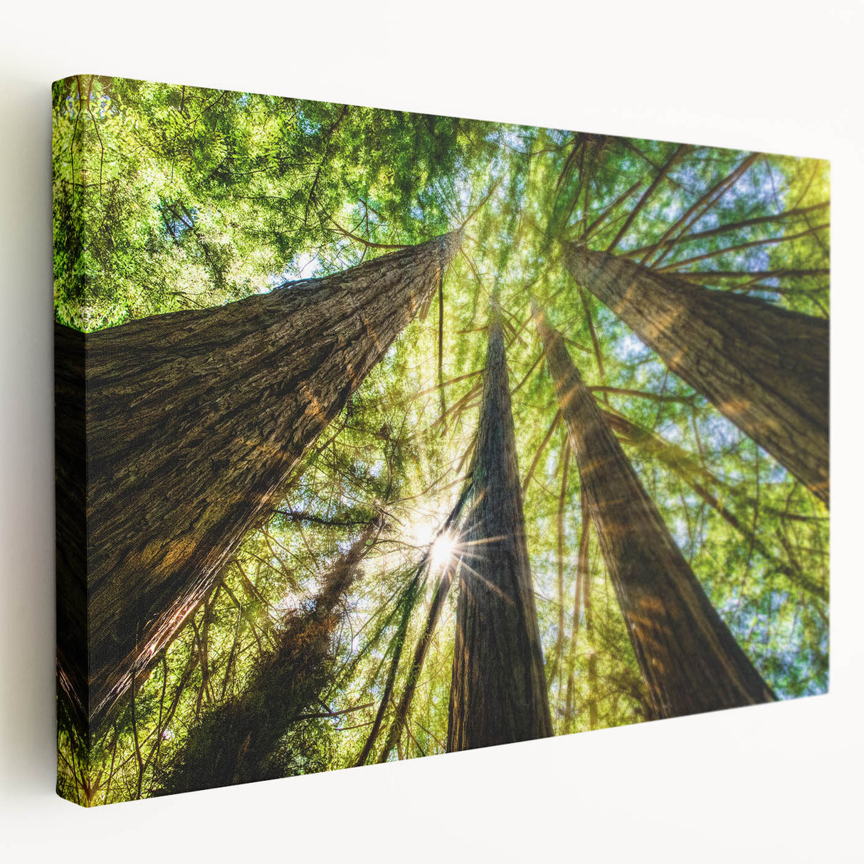 Large art depicting the scenic Big Sur coastline in muted earth tones on stretched canvas, suitable for kitchen wall art.