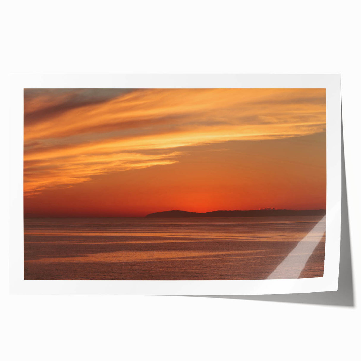 Extra large rolled print of Catalina, California scenery with vibrant floral elements, ideal for art wall dining room.