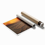 Extra large rolled print depicting a subtle floral art scene in Death Valley, using muted earth tones.