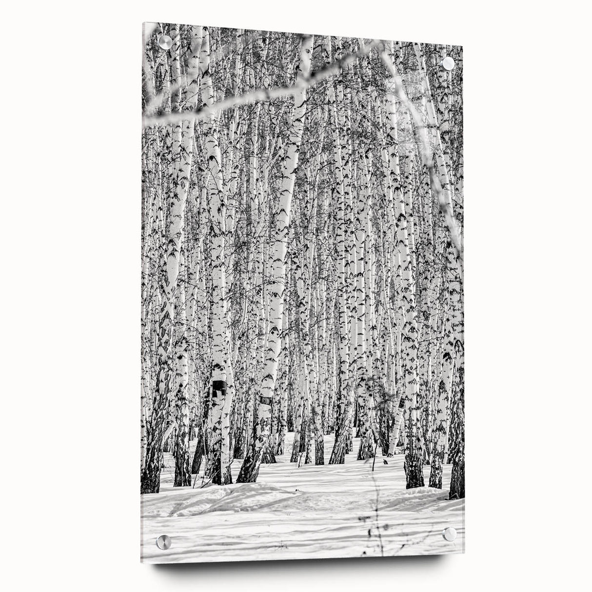 Large abstract depiction of Aspen, Colorado on acrylic glass, featuring earthy green and brown tones.