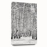 Large abstract wall art depicting Aspen, Colorado scenery in muted earth tones, printed on acrylic glass.