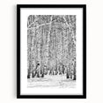Extra large abstract art print depicting colorful, textured scenery of Aspen, Colorado on a framed black mat.