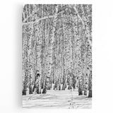 Black and white photograph of Aspen trees on a large stretched canvas, suitable for kitchen wall art.