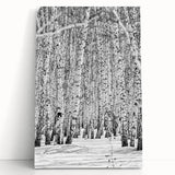 Black and white photograph of Aspen trees on stretched canvas, suitable as kitchen wall art or for bedroom ambiance.