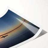 Extra large wall art featuring line art flowers and dense green foliage of the Everglades on a rolled print.