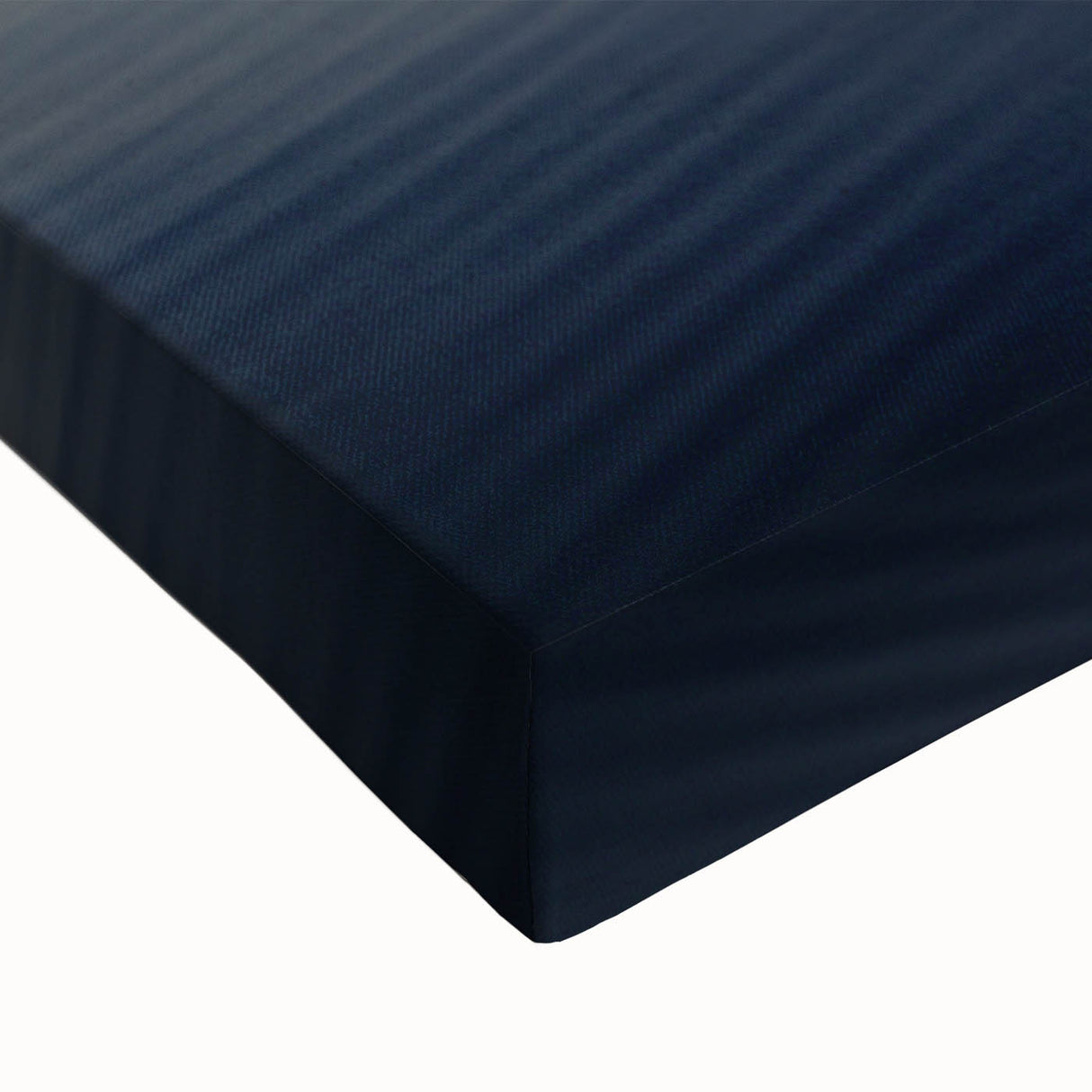 Black and white stretched canvas of the Everglades landscape, ideal for bedroom wall art.
