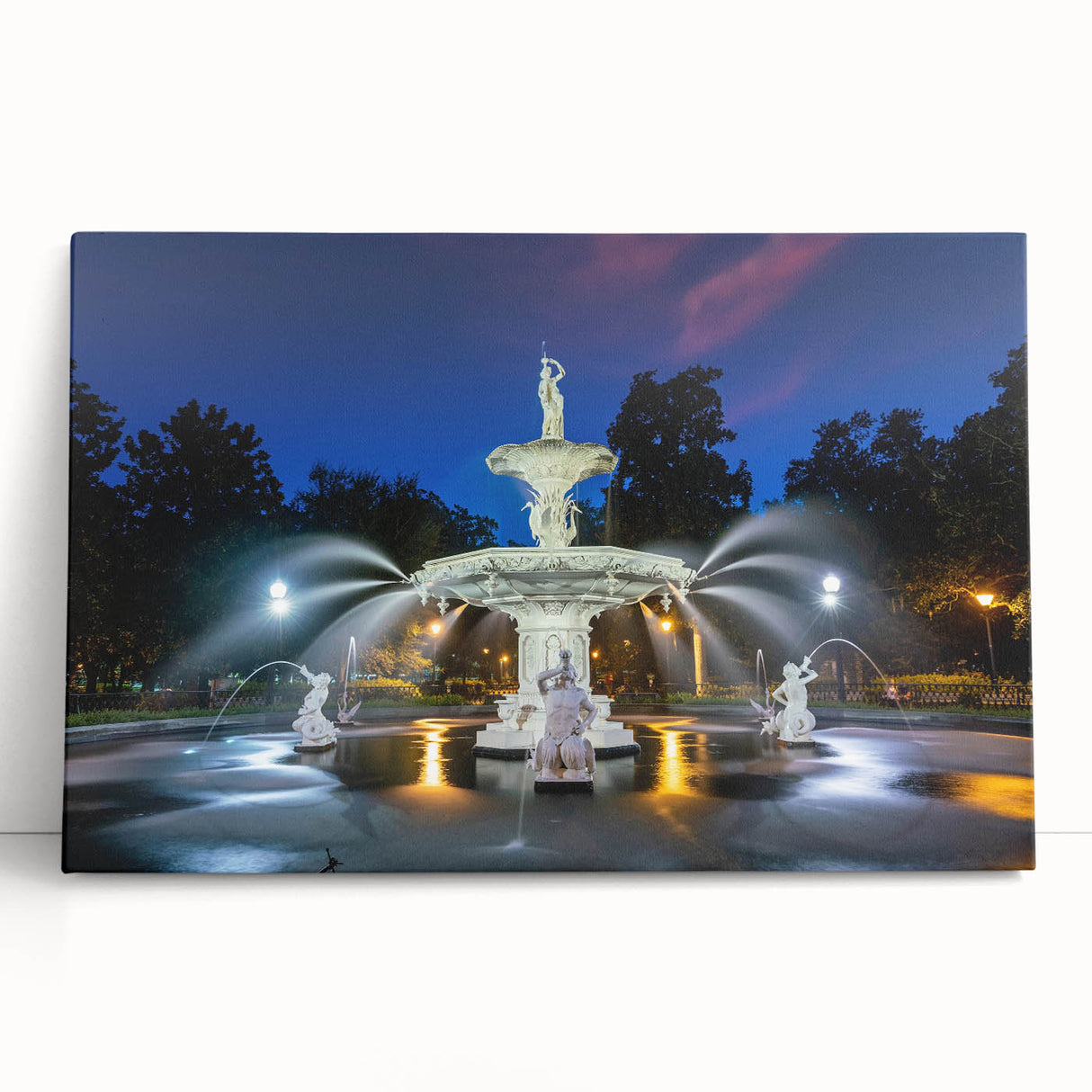 Black and white photograph of Savannah scenery on large stretched canvas.