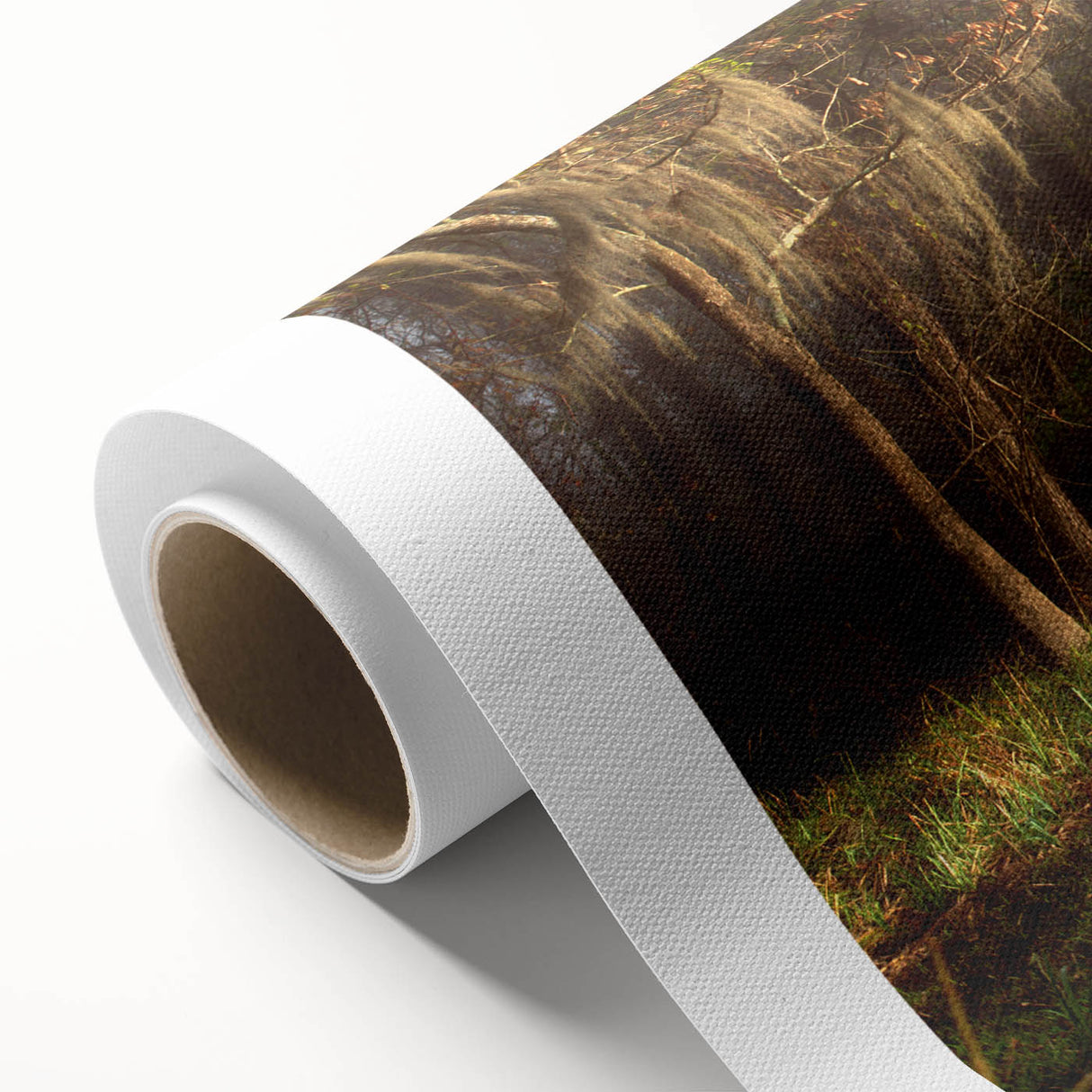 Art Deco-style poster of Louisiana scenery on rolled canvas, featuring pastel color palette, ideal for nursery wall art.