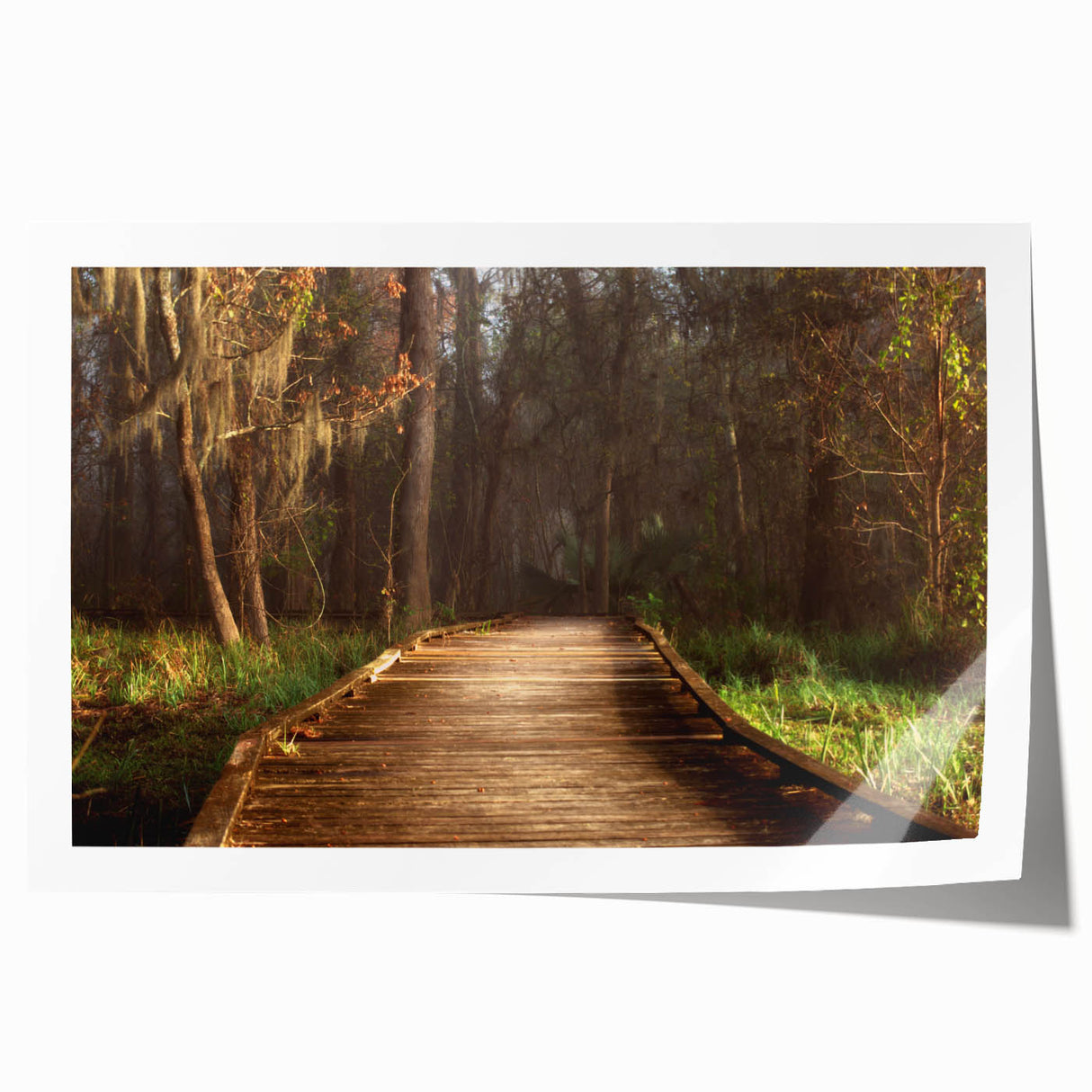 Extra large rolled print of Louisiana scenery with vibrant green and floral accents, ideal for art wall dining room.