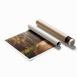 Louisiana swamp scene in muted greens and browns on a large rolled canvas, suitable for bathroom or living room decor.