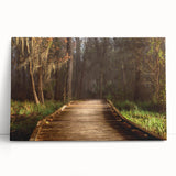 Black and white photograph of a Louisiana landscape on large stretched canvas, suitable as kitchen wall art or bedroom decor.