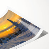 Extra large wall art featuring line art flowers in muted green and white tones on a rolled print.