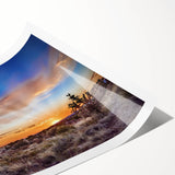 Extra large wall art featuring line art flowers in muted earth tones on a rolled print, suitable for large living room decor.