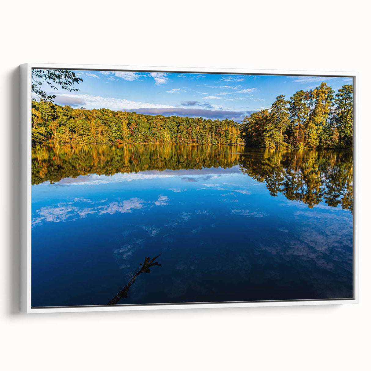 Vintage poster art of Raleigh, North Carolina, featuring colorful art on a white framed canvas, ideal for living room decor.