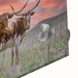 Large abstract wall art depicting Oklahoma scenery in mid-century modernist style on acrylic glass.