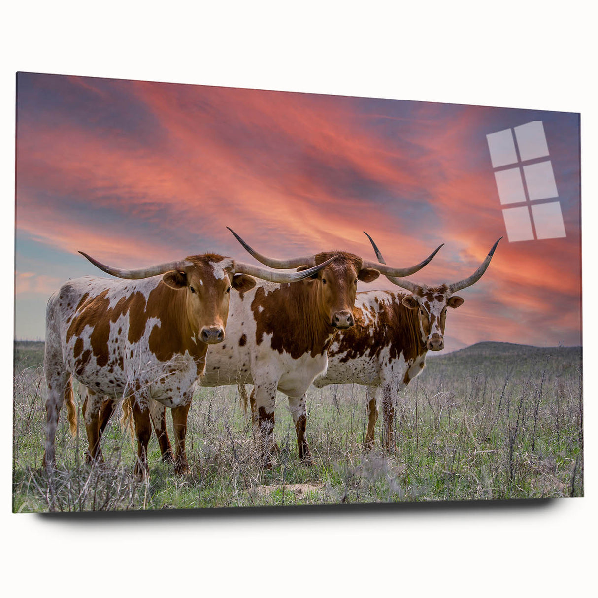 Large abstract wall art depicting Oklahoma scenery in muted earth tones on acrylic glass.