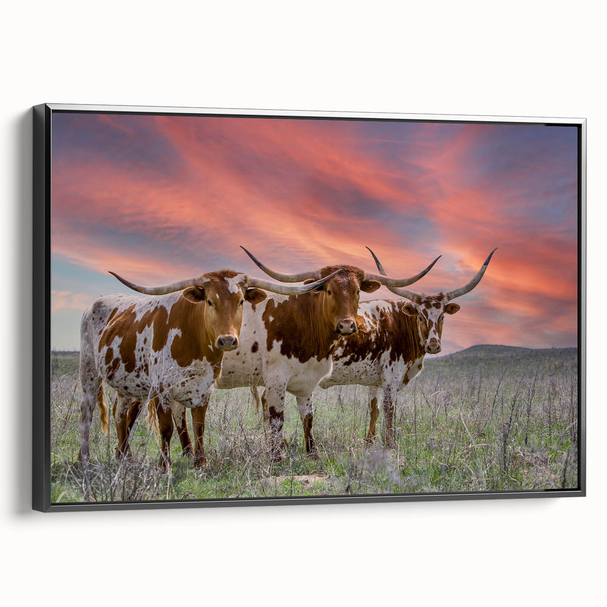 Black and white framed canvas of a vintage Oklahoma landscape, ideal for bedroom wall decor.