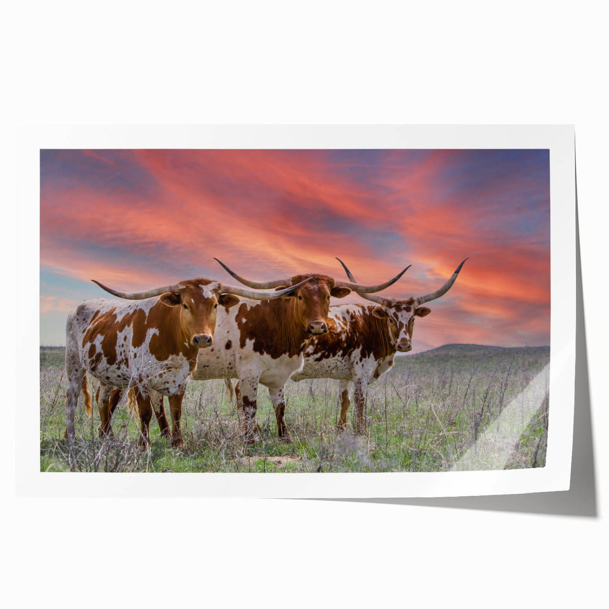 Oklahoma scenery wall art on rolled print, featuring large-scale floral patterns in soft pastel colors.