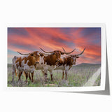 Oklahoma scenery wall art on rolled print, featuring large-scale floral patterns in soft pastel colors.