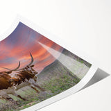 Extra large wall art featuring line art flowers in monochrome, printed on rolled canvas, ideal for large living room decor.