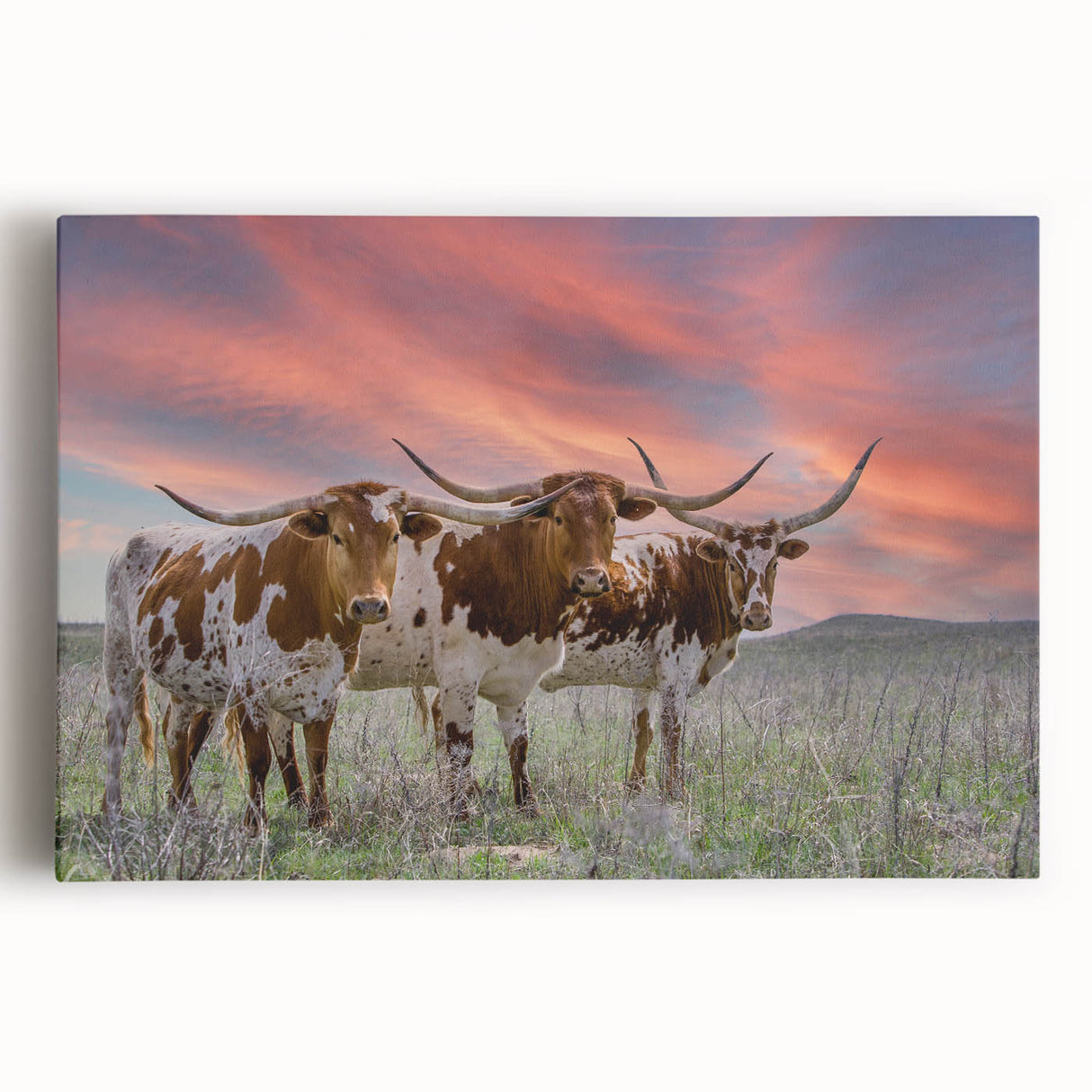 Black and white stretched canvas featuring a panoramic view of Oklahoma scenery, suitable as large kitchen wall art.