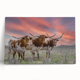Black and white stretched canvas of Oklahoma scenery, ideal for kitchen wall art or bedroom ambiance.