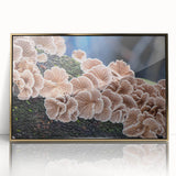 Framed acrylic print of Pittsburgh skyline in muted gold and gray tones, suitable for modern art wall decor.