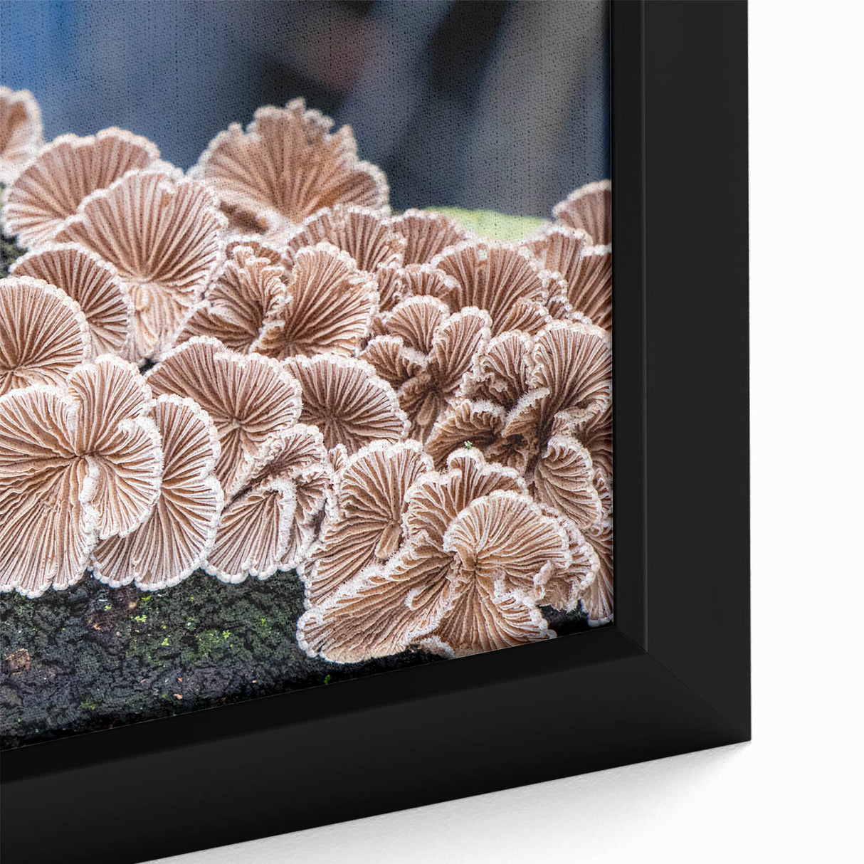 Framed canvas of textured Pittsburgh skyline in black with colorful highlights, ideal for large living room walls.