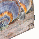 Large abstract wall art featuring a Pennsylvania scenery in muted earth tones on acrylic glass, ideal for dining room art.